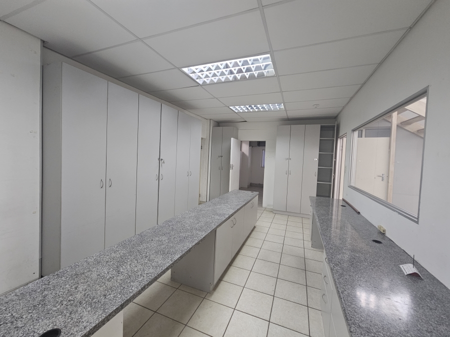 Commercial Property for Sale in Arcadia Eastern Cape